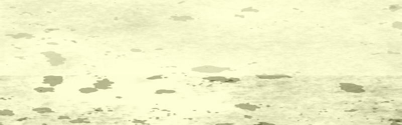 �A�g���G�T�����Z���S�@�w�i