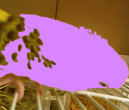 謎のアーティストL