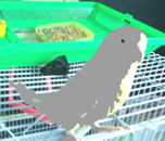 謎のアーティストT